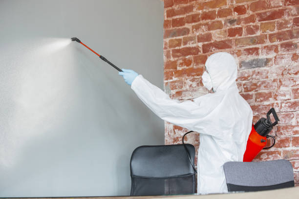Best Water Damage & Mold Remediation  in Glasgow, KY