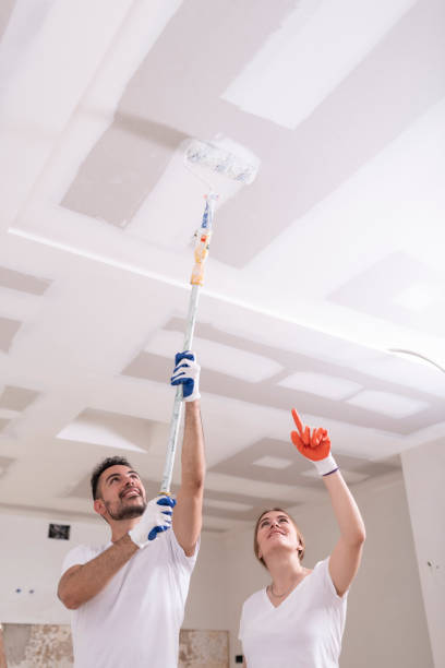 Best Attic Mold Removal  in Glasgow, KY