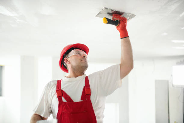  Glasgow, KY Mold Removal Pros