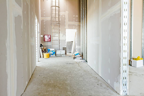 Best Mold Documentation for Insurance Claims  in Glasgow, KY